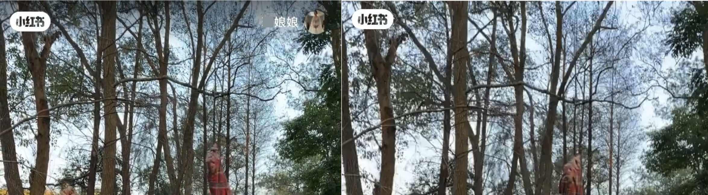 左:原始视频,左上右上各有一个 Logo/图标。右:只擦除右上角图标内容。