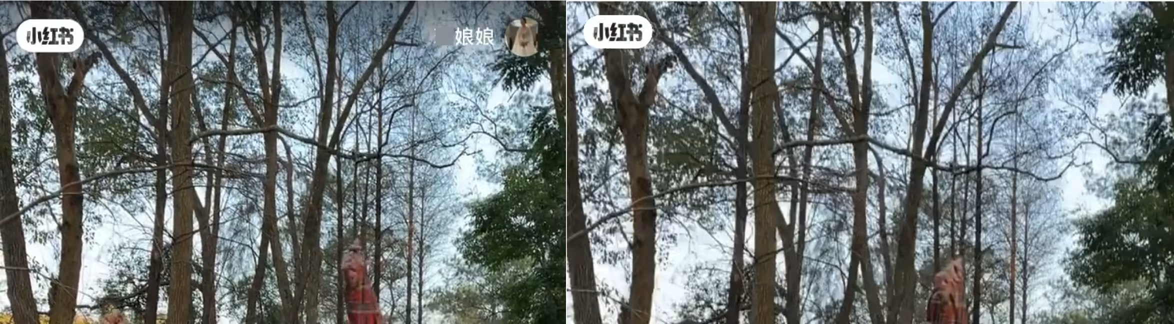 左：原始视频，左上右上各有一个 Logo/图标。右：只擦除右上角图标内容。