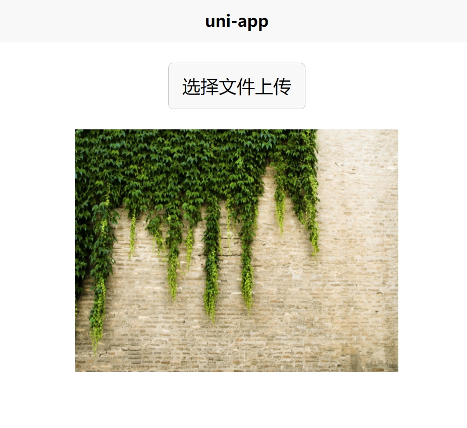 uni-app 直传效果