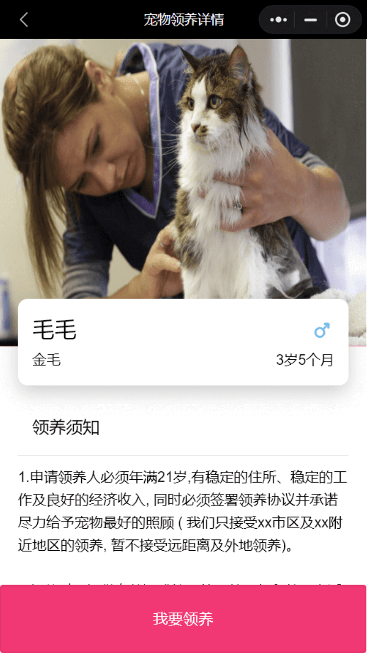 展示图片