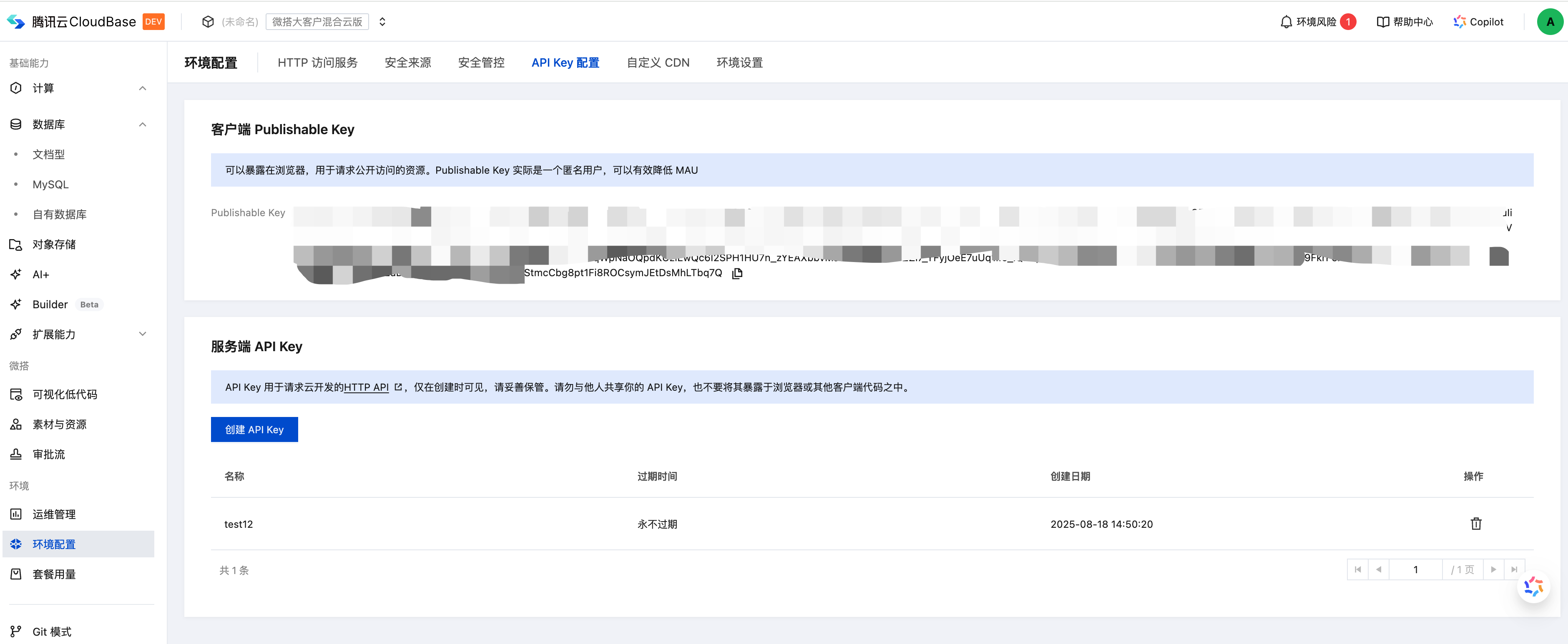 API Key 配置