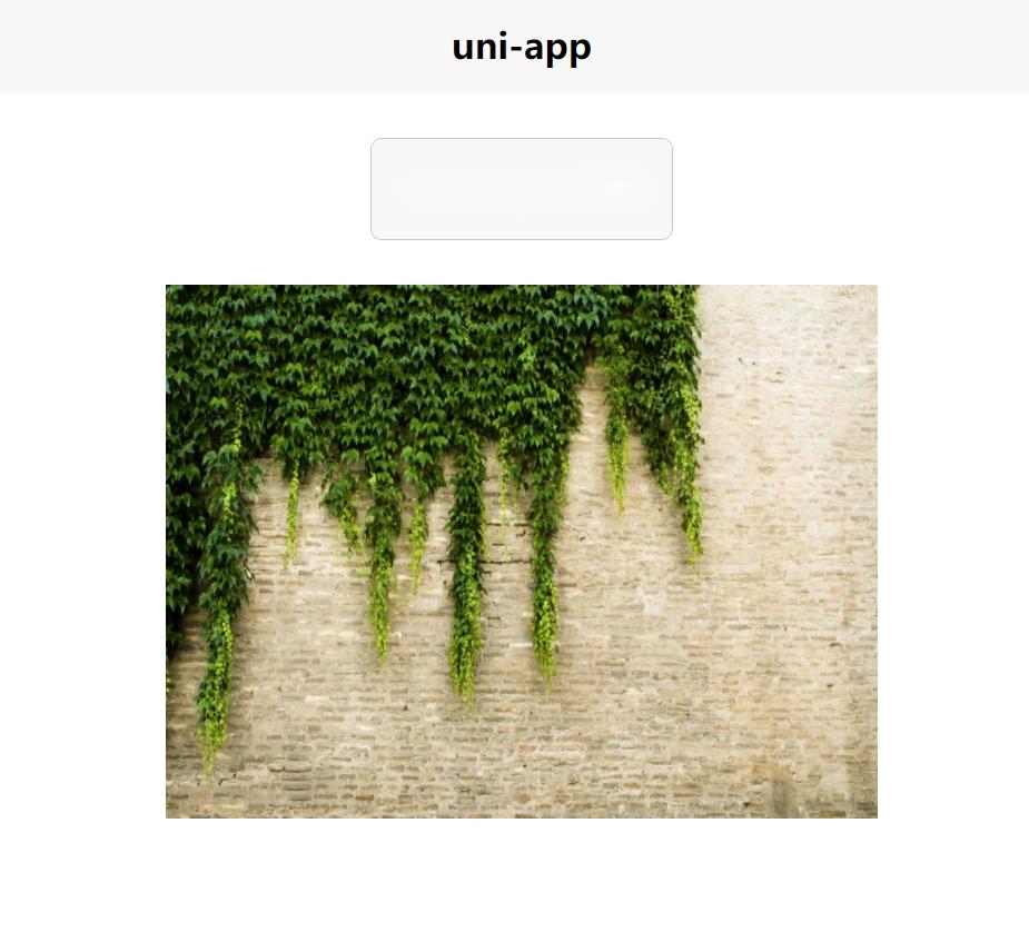 uni-app direct upload effect